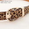 LEOPARD BELT