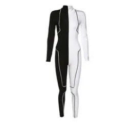 Gemini One Piece
